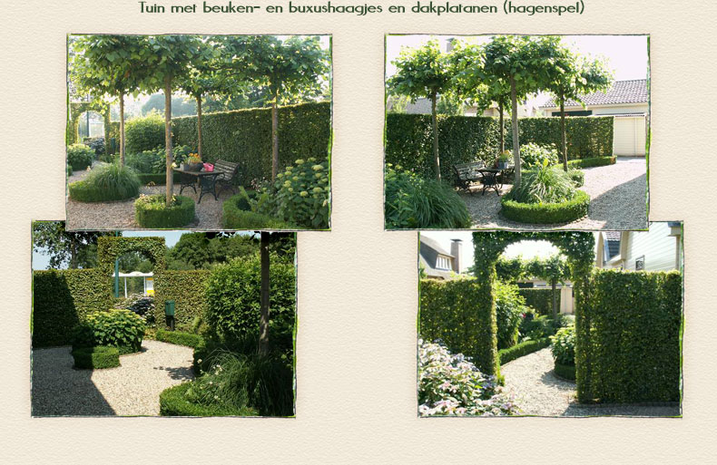 Tuin met beuken- en buxushaagjes en dakplatanen (hagenspel)